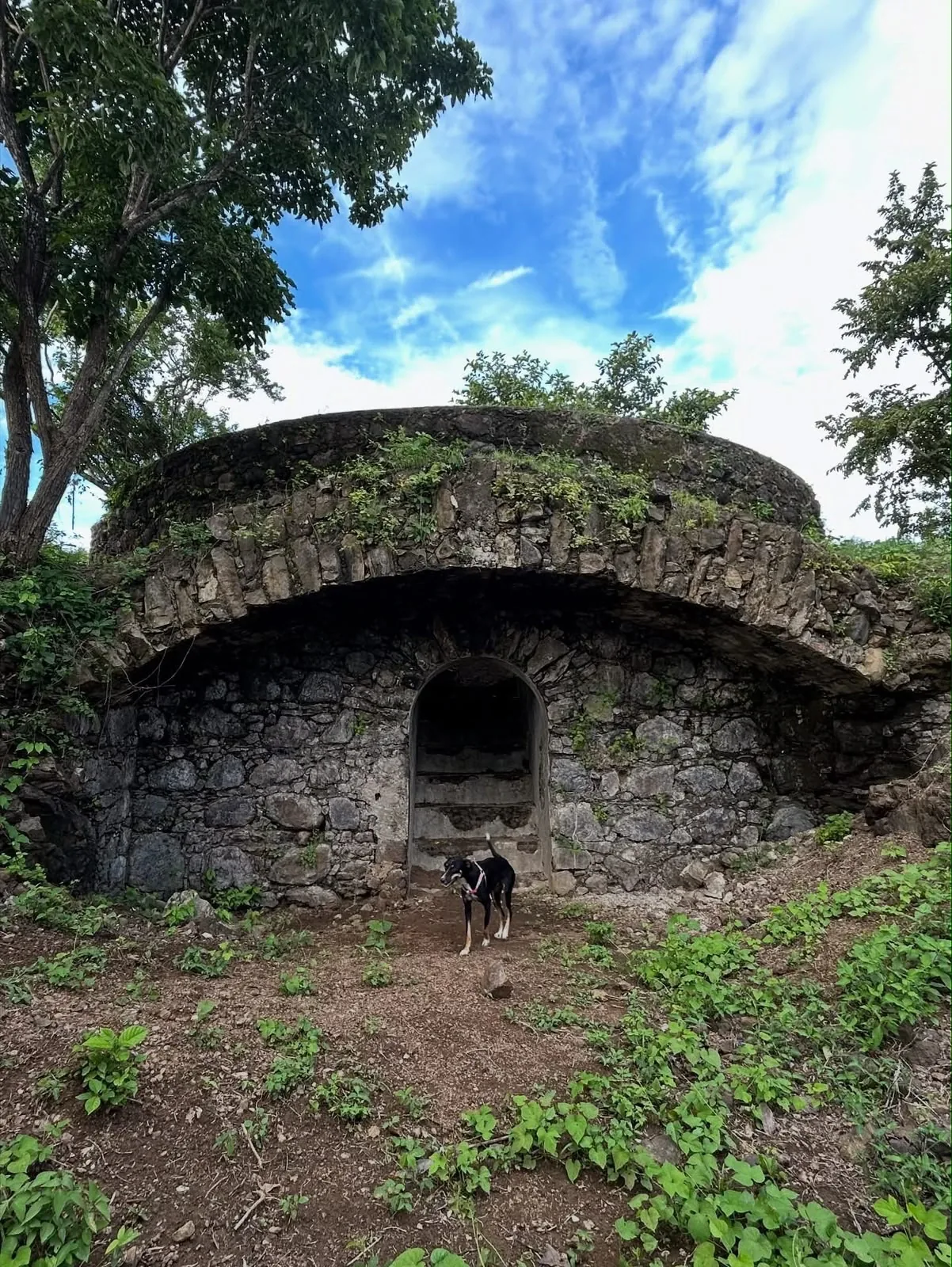 Casa Romano photo 22